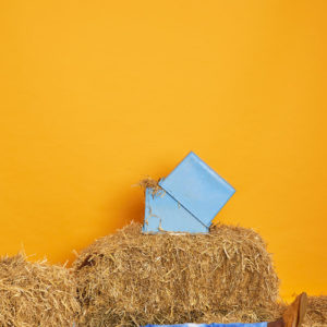 Jogpant Bottes-Bleu Graine